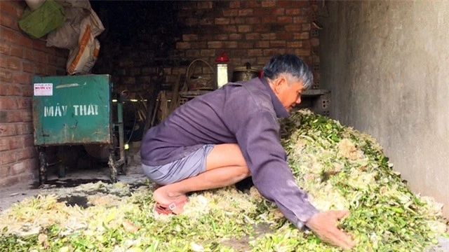 Phú Yên: Nông dân nuôi heo rừng lai kiếm hàng trăm triệu đồng mỗi năm - 2