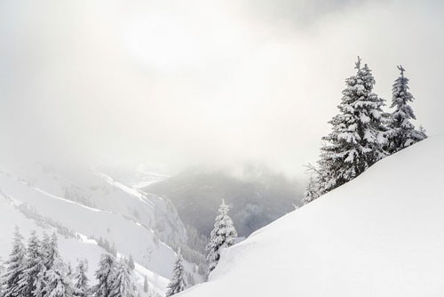 Tại sao tuyết lại có màu trắng?