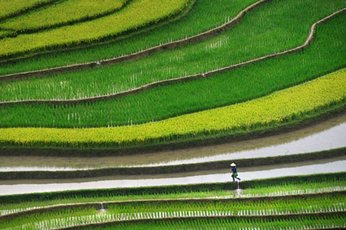 Việt Nam đẹp 'mê hồn' qua ống kính phó nháy Australia