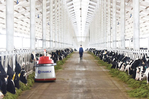 Chăn nuôi tìm hướng đi mới