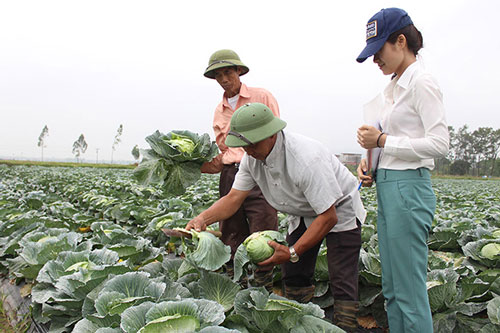 Bắc Giang: HTX là điểm tựa sản xuất an toàn
