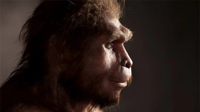 Phát hiện thêm loài người khác tồn tại song song chúng ta suốt 200.000 năm - Ảnh 2.