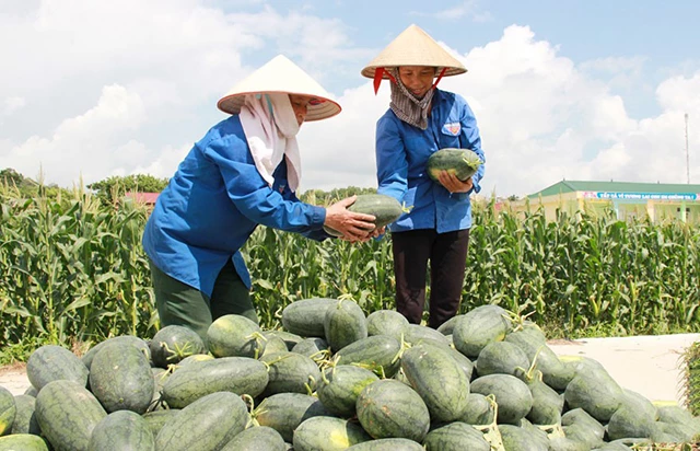 Các mô hình sản xuất an toàn sẽ được chú trọng phát triển