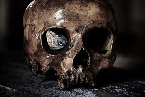 Cấy ghép đầu người sẽ trở thành hiện thực vào năm 2030