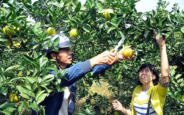 Các mô hình mang lại hiệu quả kép về kinh tế, môi trường