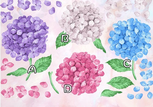 Trắc nghiệm: Bạn muốn thiên hạ đánh giá cao điều gì ở mình?