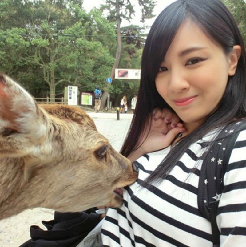 Chụp ảnh thân mật với hươu, gái trẻ bị "sàm sỡ" công khai