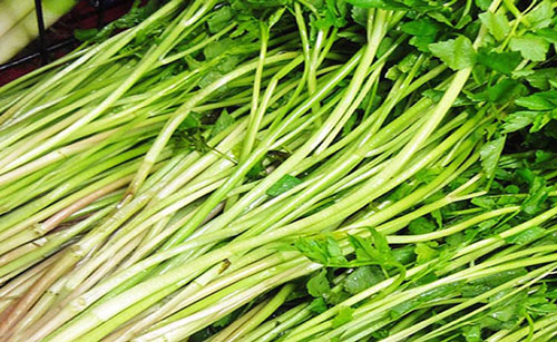 Hiểm họa khôn lường nếu ăn rau cần chưa được nấu chín