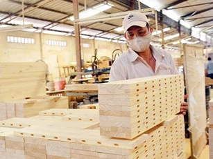 Năm 2020, xuất khẩu gỗ dự kiến đạt 12 tỷ USD