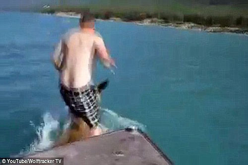 Bị bắt vì cả gan cưỡi nai sừng tấm dưới nước