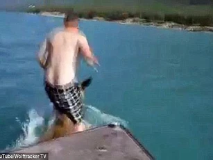 Bị bắt vì cả gan cưỡi nai sừng tấm dưới nước