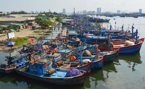 Nỗ lực gỡ thẻ vàng ngành thủy sản: Việt Nam đang đi đúng hướng