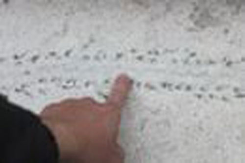 Sự thật về “dấu rồng” ở Hà Nam