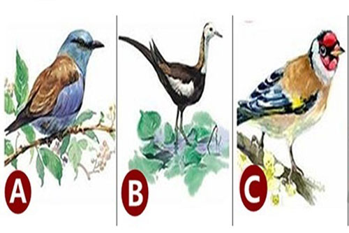 Trắc nghiệm: Bạn có đang gặp phải hạn xui?