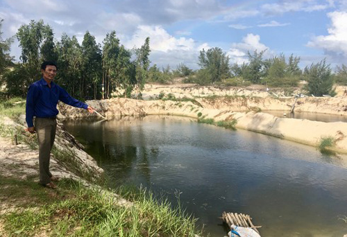 Cả xã làm giàu, thu hàng trăm triệu nhờ nuôi cá lóc trên cát