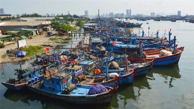 Nỗ lực gỡ thẻ vàng ngành thủy sản: Việt Nam đang đi đúng hướng - 2