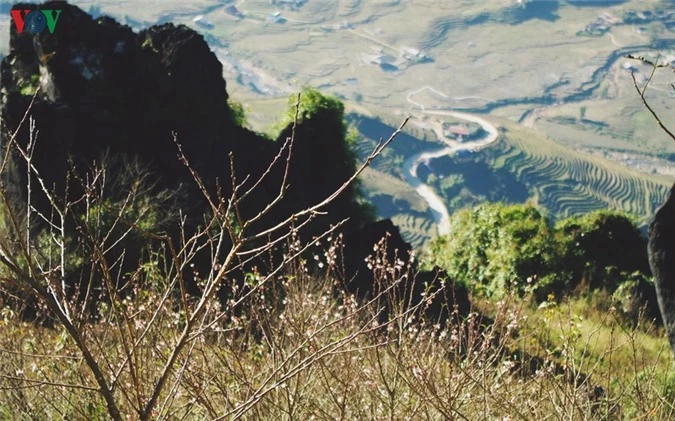 sapa du ngon ngang cong trinh nhung van dep nao long du khach  hinh 9