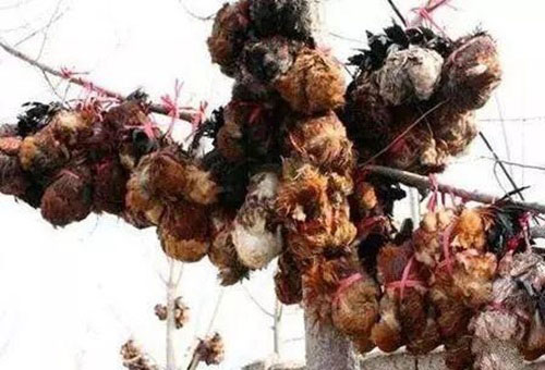 3 món ăn đáng sợ nhất trong lịch sử của vua chúa Trung Quốc