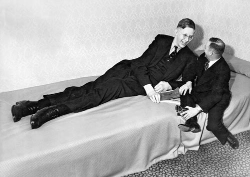 Ảnh hiếm về cuộc sống thường ngày của người đàn ông cao nhất lịch sử