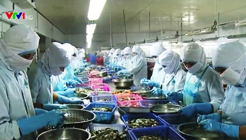Thủy sản Việt Nam có nguy cơ không vào được EU