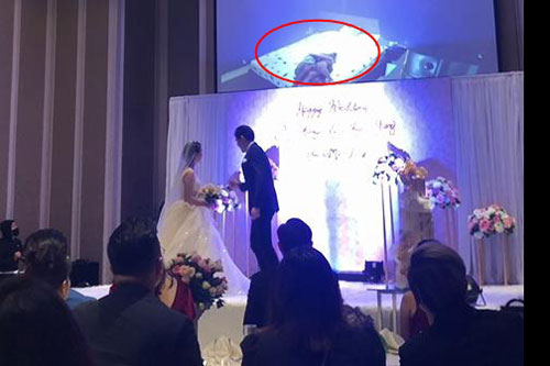 Chú rể tung 'clip nóng' cô dâu ngoại tình với anh rể đúng ngày cưới