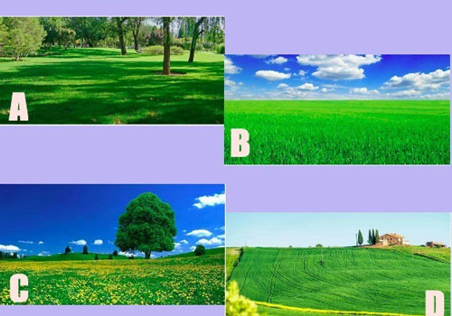 Trắc nghiệm: Dự đoán địa vị xã hội của bạn trong 10 năm tới