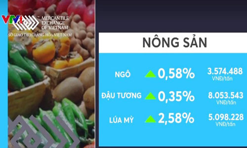 Giá nhiều loại hàng hóa tăng nhẹ