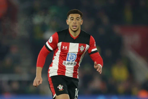 Tiền vệ trái: Che Adams (Southampton).