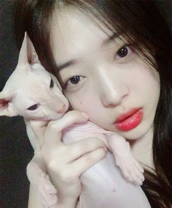Heechul xác nhận nuôi thú cưng của Sulli, tiết lộ từng khóc không dứt vì tình trạng của chú mèo đắt nhất nhì hành tinh - Ảnh 2.