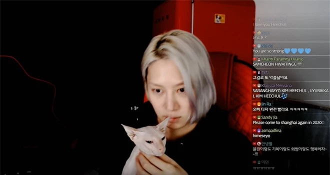 Heechul xác nhận nuôi thú cưng của Sulli, tiết lộ từng khóc không dứt vì tình trạng của chú mèo đắt nhất nhì hành tinh - Ảnh 3.