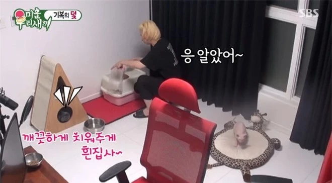 Heechul xác nhận nuôi thú cưng của Sulli, tiết lộ từng khóc không dứt vì tình trạng của chú mèo đắt nhất nhì hành tinh - Ảnh 4.