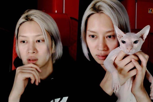 Heechul xác nhận nuôi thú cưng của Sulli, tiết lộ từng khóc không dứt vì tình trạng của chú mèo đắt nhất nhì hành tinh