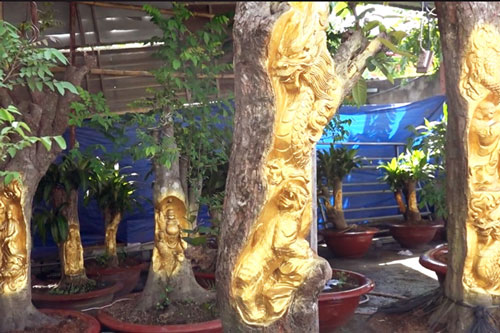 ‘Hốt bạc’ từ việc khắc tượng lên cây sống phục vụ Tết Nguyên đán