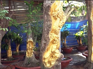 ‘Hốt bạc’ từ việc khắc tượng lên cây sống phục vụ Tết Nguyên đán