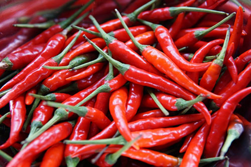 Các công dụng của ớt và những lưu ý khi sử dụng