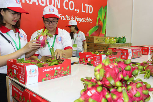 Kỳ vọng đột phá xuất khẩu nông sản