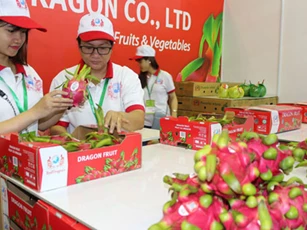 Kỳ vọng đột phá xuất khẩu nông sản
