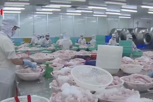 Xuất khẩu thủy sản về đích 8,6 tỷ USD