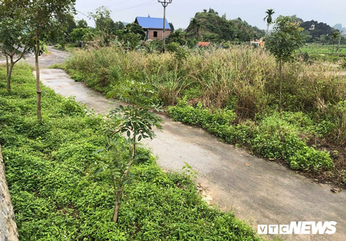 Lãnh địa mộ cổ khổng lồ ở Hải Phòng và bí ẩn sấm truyền kho báu