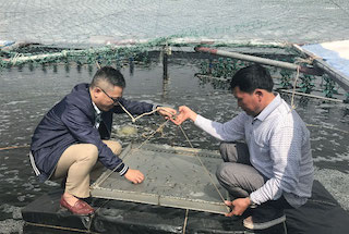 Bến Tre tiếp tục cải thiện môi trường kinh doanh để thúc đẩy kinh tế