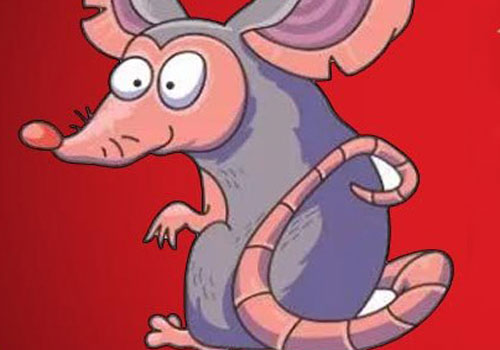 Tử vi năm Canh Tý 2020: Tuổi Tý có những khởi đầu mới tốt lành thịnh vượng và cuộc sống thăng hoa phát triển