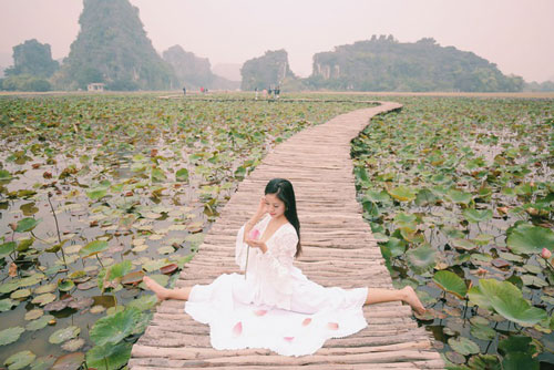 Ngỡ ngàng mùa sen giữa trời đông, lau đẹp như tranh ở Ninh Bình