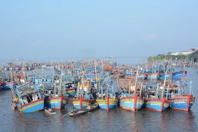 Kinh tế biển luôn chiếm vai trò quan trọng trong sự phát triển của tỉnh Kiên Giang.