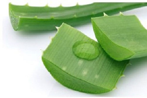 Khắc phục lỗ chân lông to tại nhà với phương pháp tự nhiên