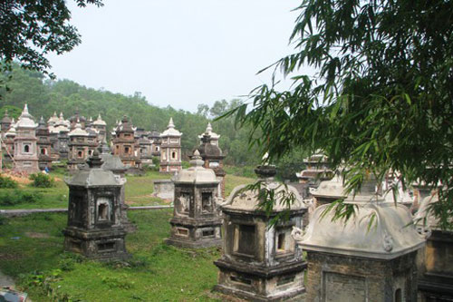 Mục sở thị vườn tháp đẹp và lớn nhất Việt Nam