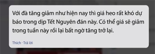 Giá thịt lợn có hạ nhiệt đón Tết? - Ảnh 1.