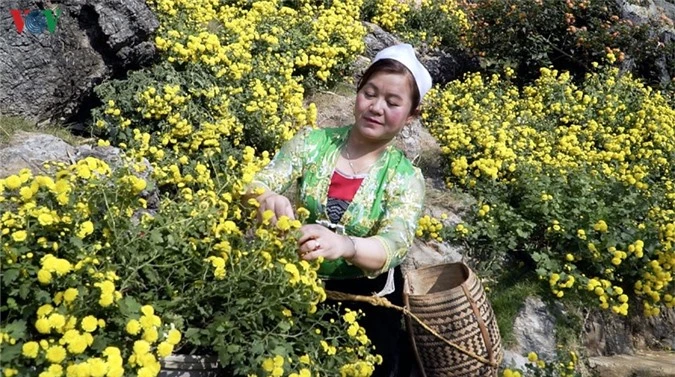 khám phá núi mộc đẹp hoang sơ, kỳ bí giữa lòng mộc châu hình 6 kham pha nui moc dep hoang so, ky bi giua long moc chau hinh 6