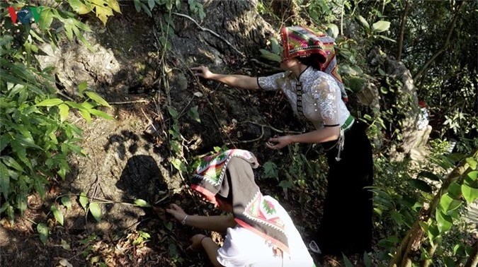 khám phá núi mộc đẹp hoang sơ, kỳ bí giữa lòng mộc châu hình 9 kham pha nui moc dep hoang so, ky bi giua long moc chau hinh 9