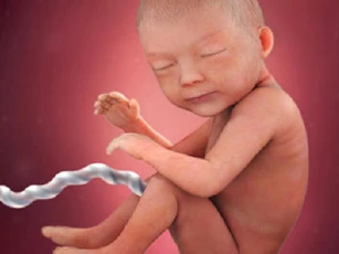 Những loại trái cây giúp mẹ sinh con có IQ cao, chân dài như siêu mẫu