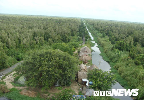 Kiểm lâm dựng hàng rào phòng rắn hổ mây khổng lồ tấn công ở U Minh Hạ